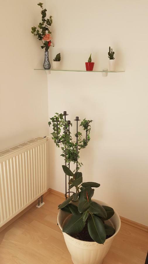 Evi'S Apartment Регенсбург Екстериор снимка
